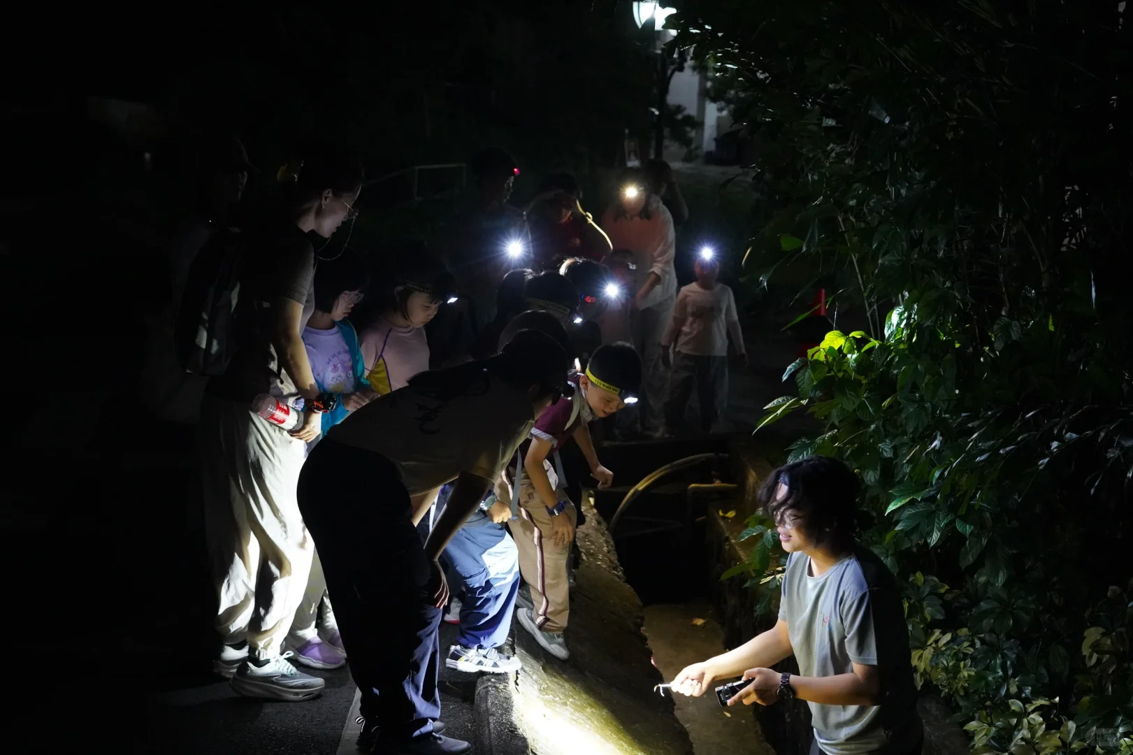 招聘丨去自然里撒野