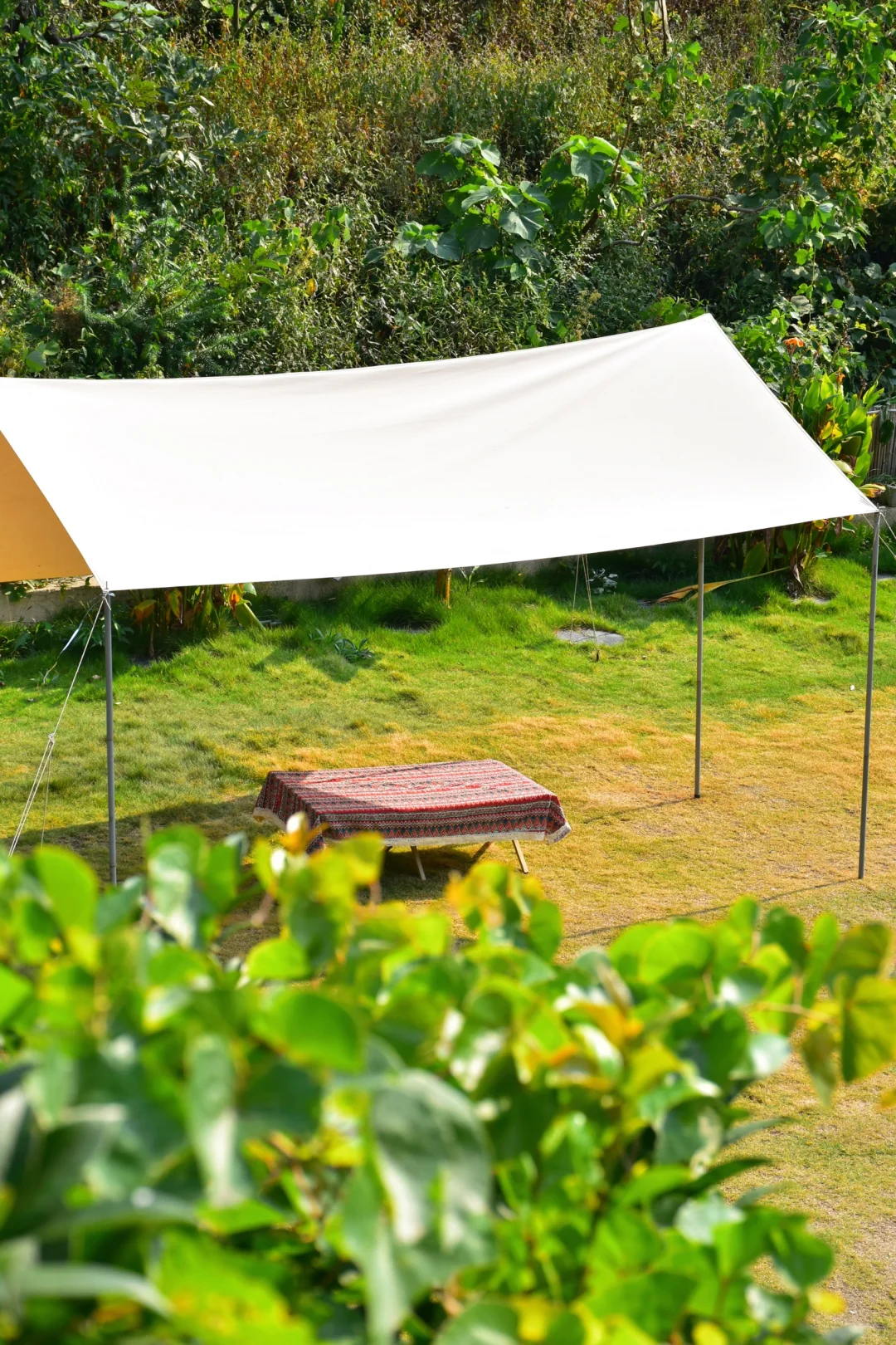 过年前有找工作的吗！！！