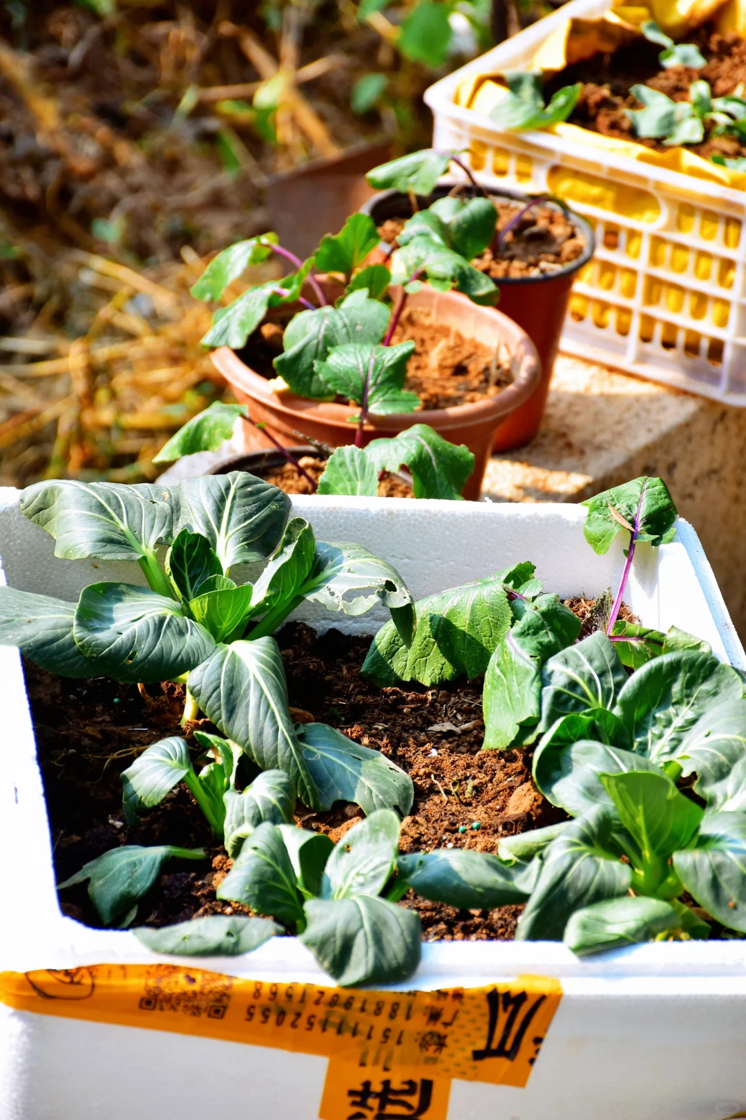 过年前有找工作的吗！！！