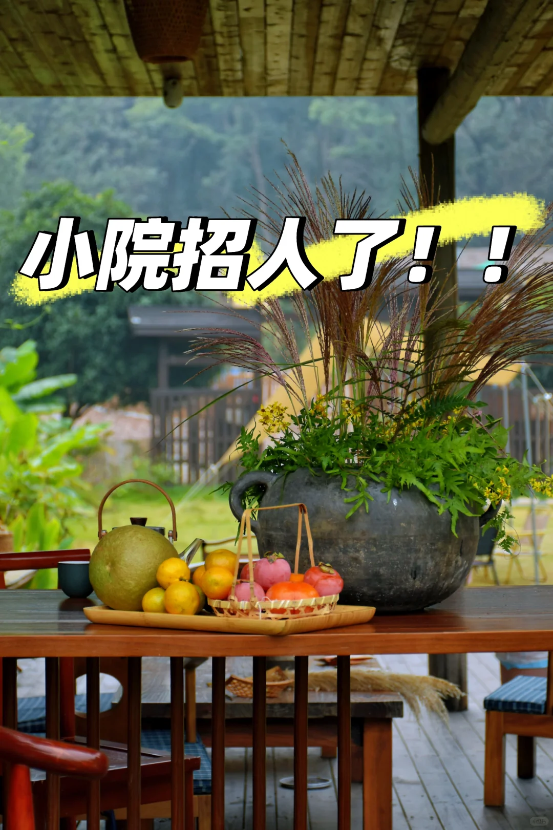 过年前有找工作的吗！！！