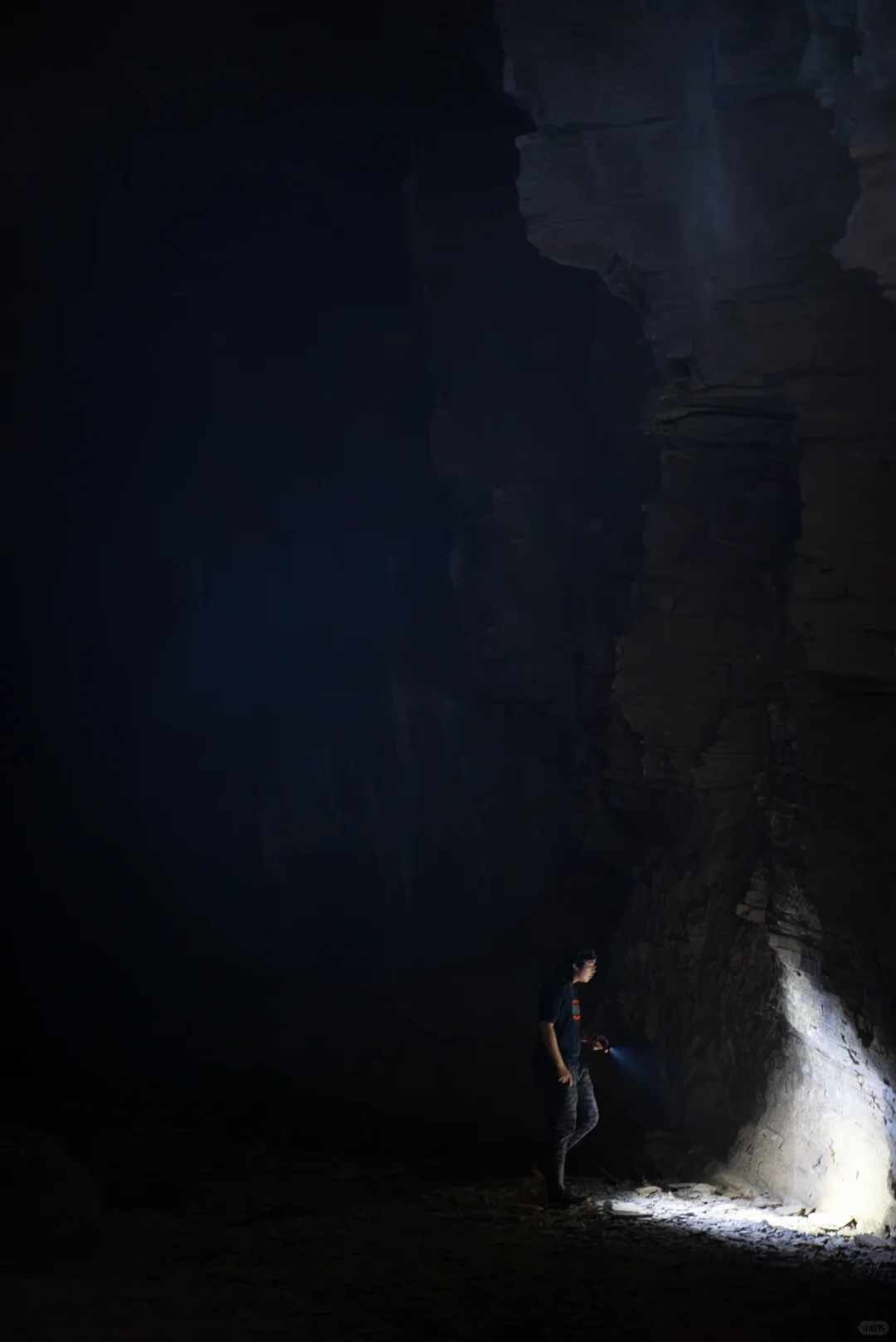 招聘丨去自然里撒野