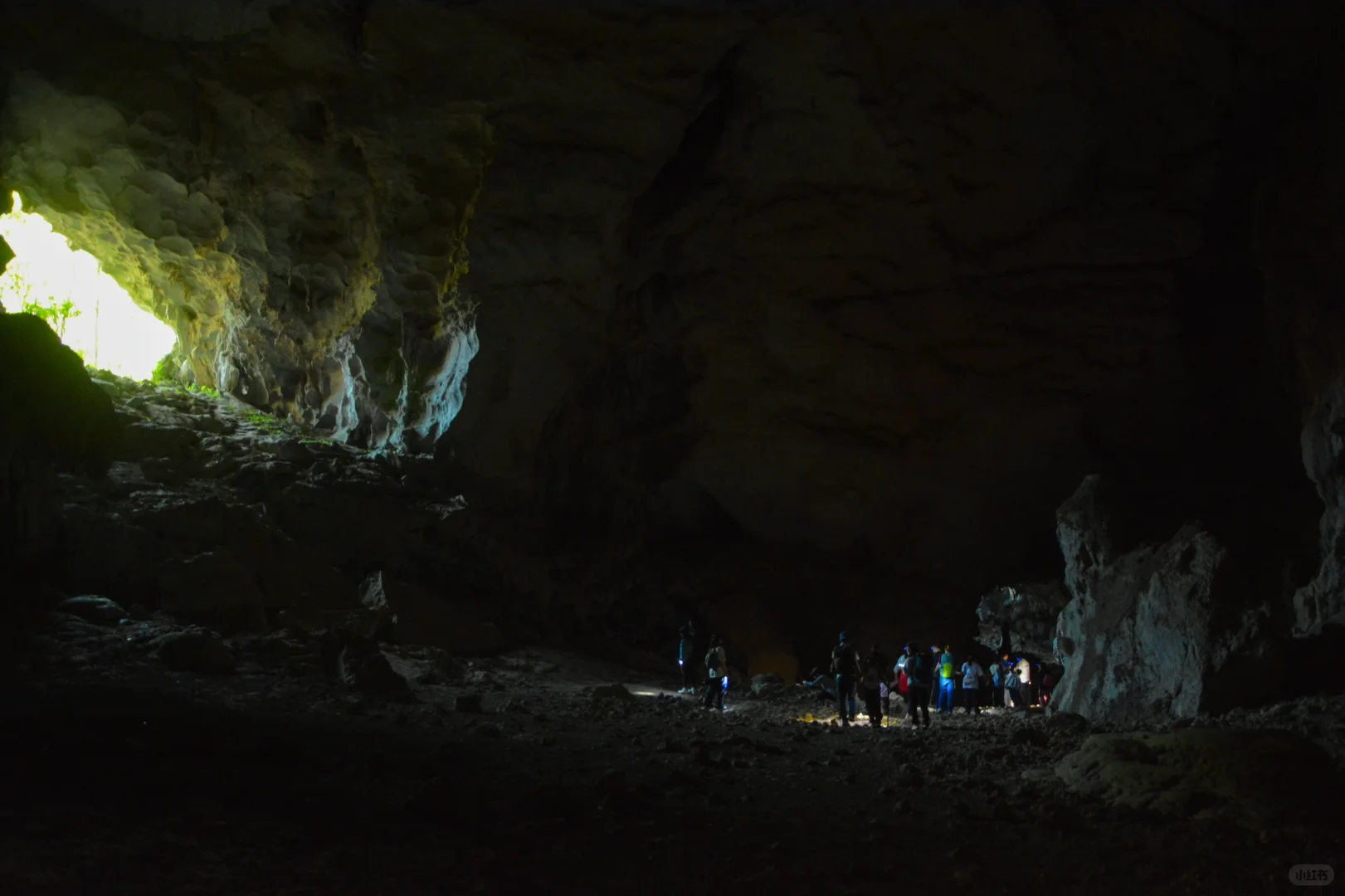招聘丨去自然里撒野