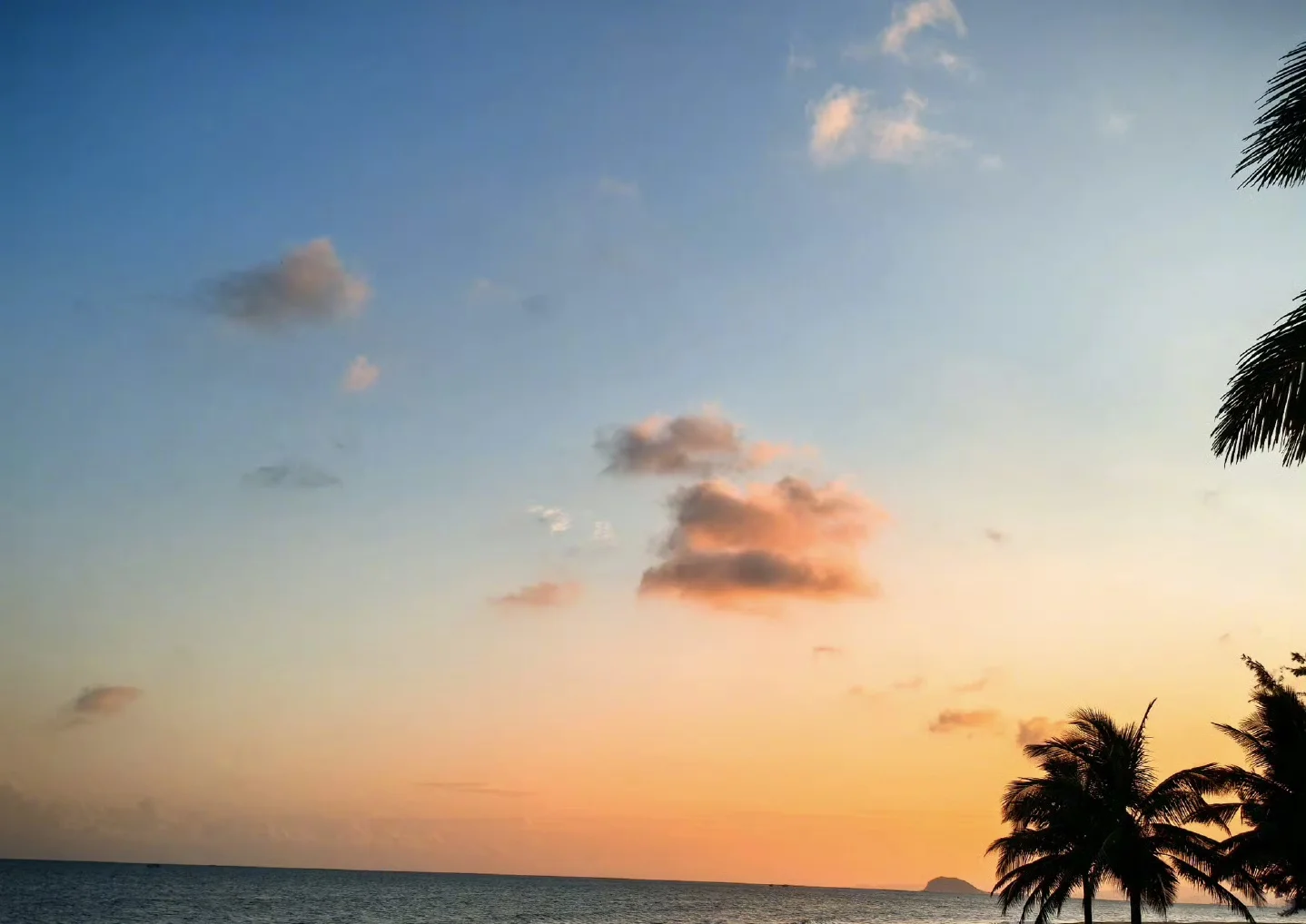 有找工作的沧州朋友吗？