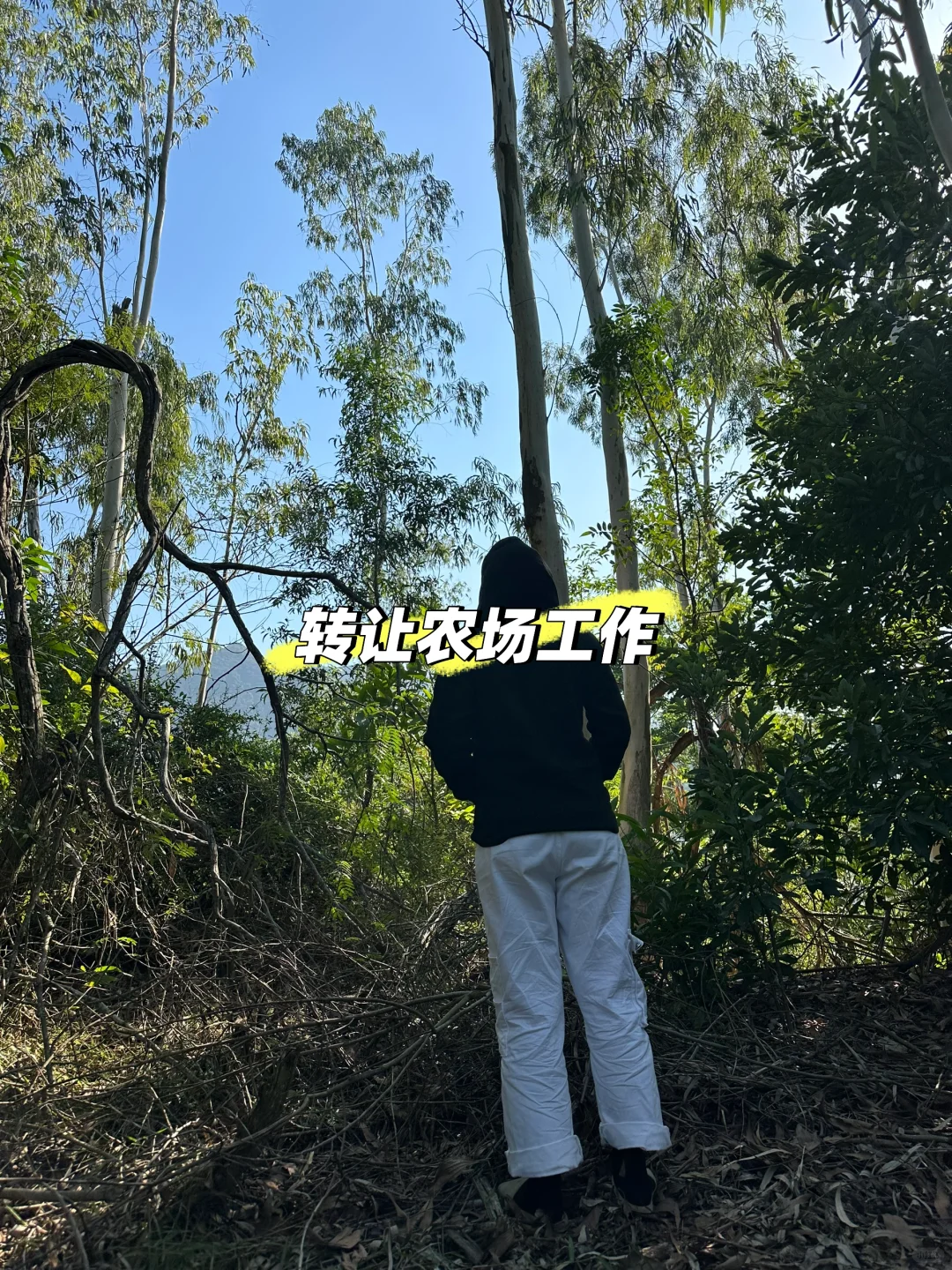 本人急需用钱，1.2w转让一份工作，我的工资是