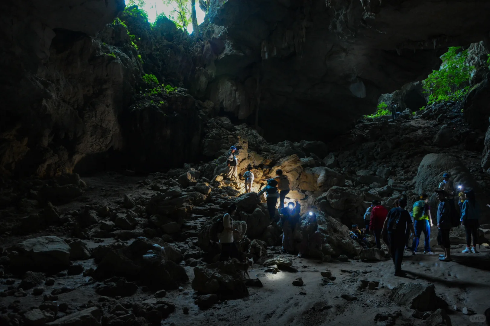 招聘丨去自然里撒野