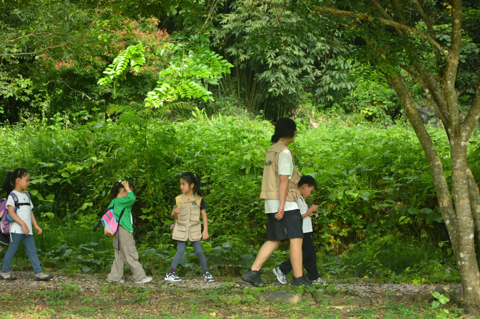 招聘丨去自然里撒野