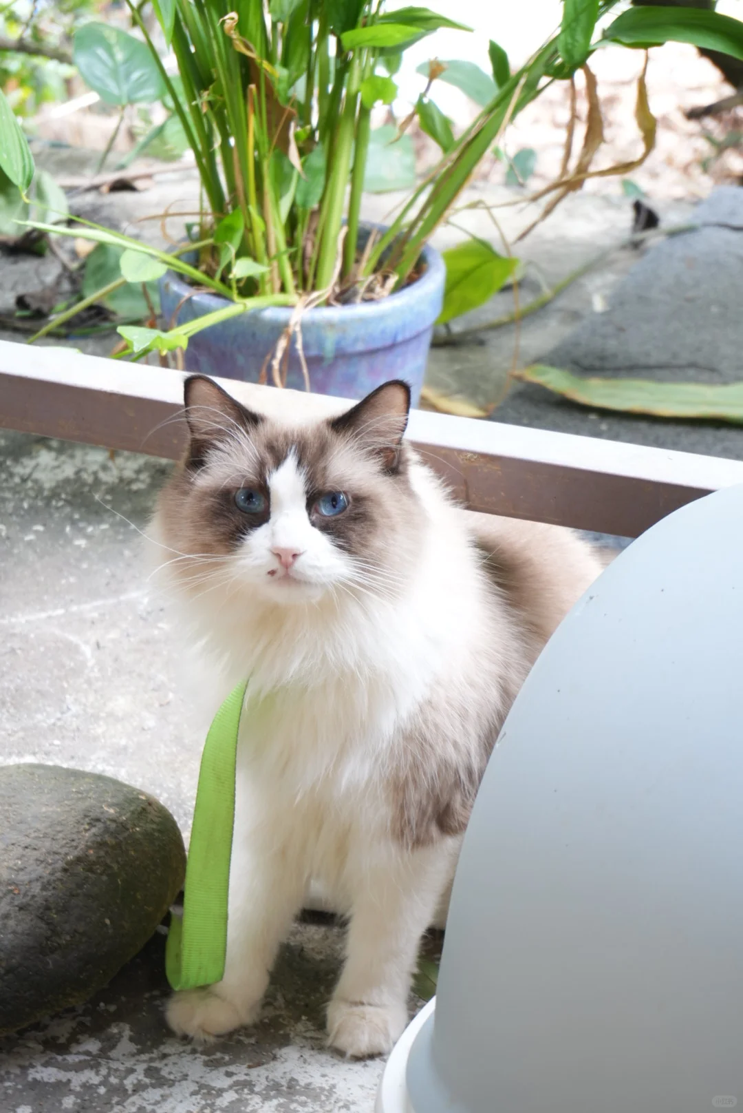 本人急需用钱，1.2w转让一份工作，我的工资是