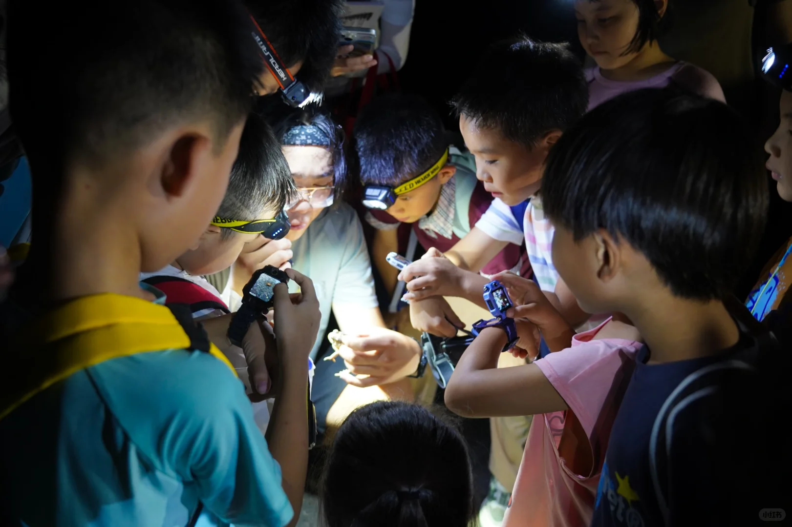 招聘丨去自然里撒野