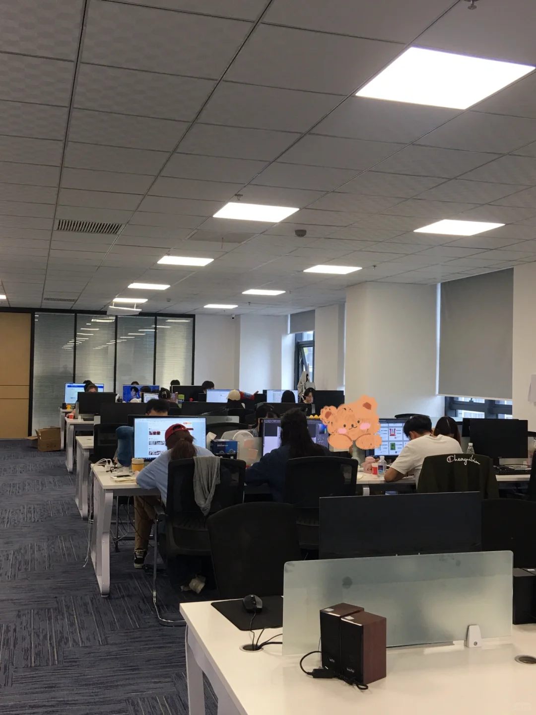 真的不理解❗️❗️现在的人是都不缺工作吗？