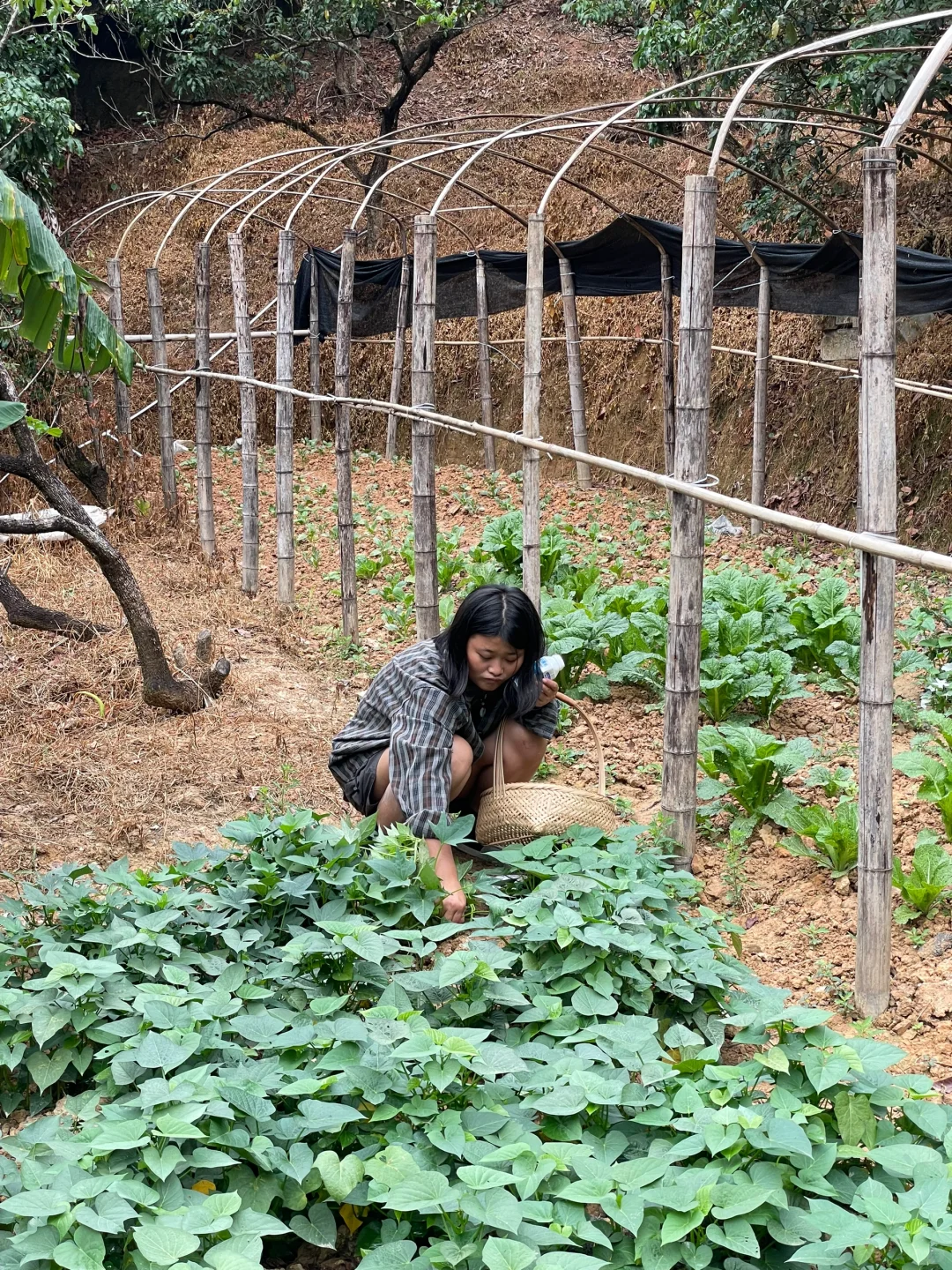 本人急需用钱，1.2w转让一份工作，我的工资是