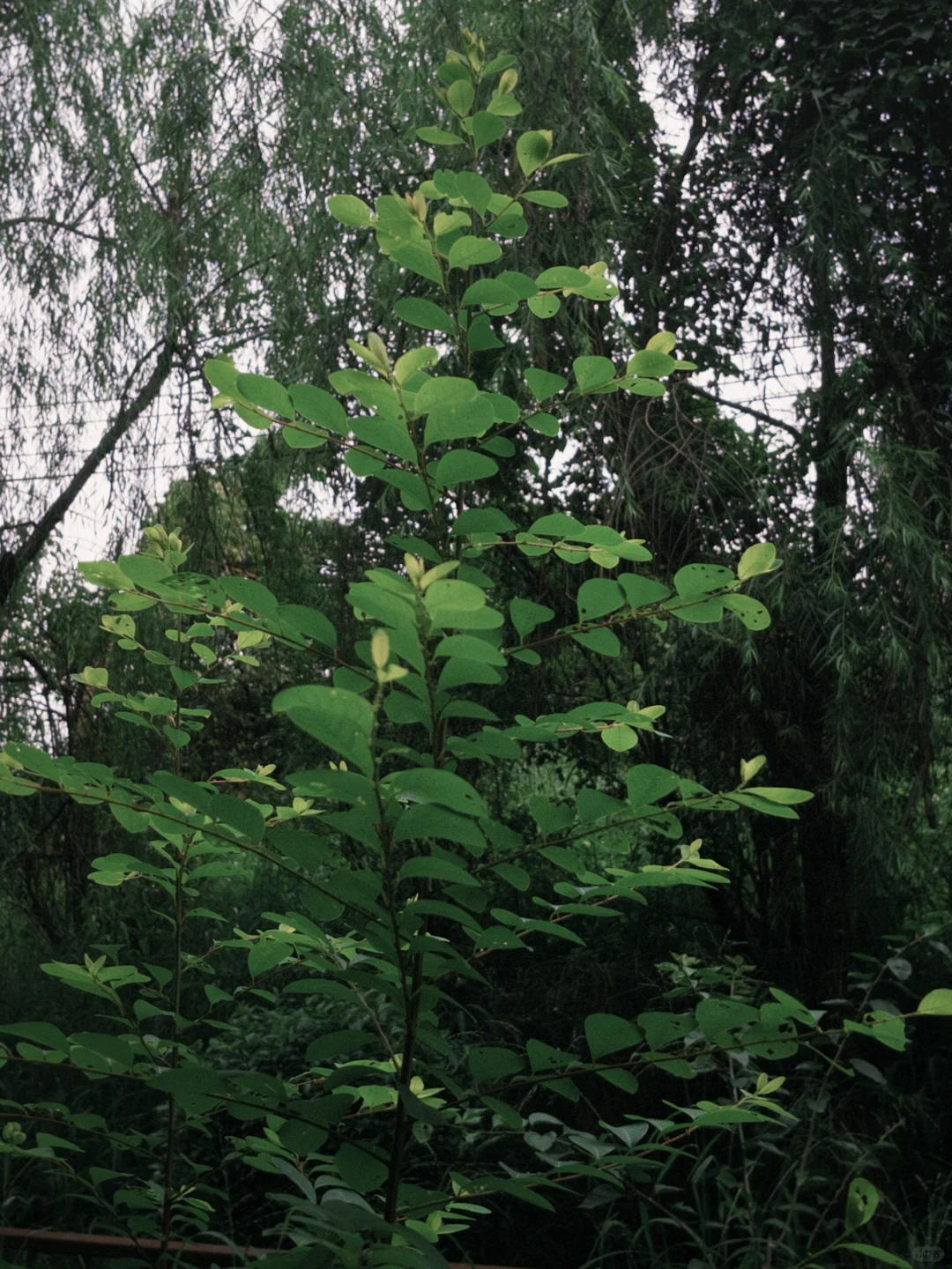 空窗3年，怎么找已倒闭了的公司写在简历上？