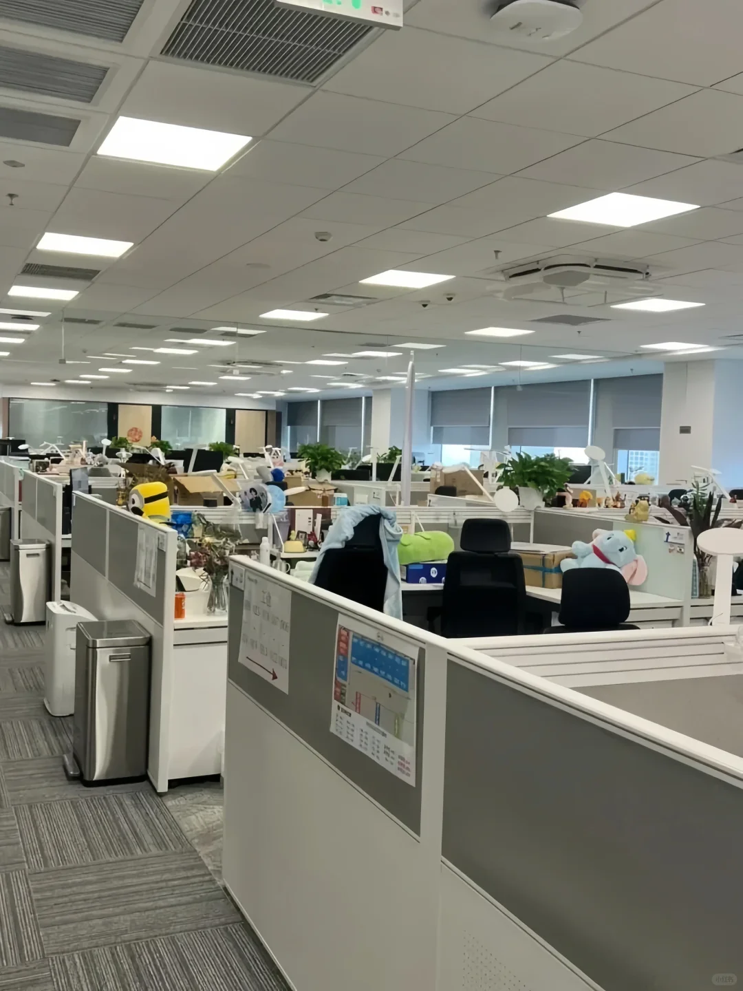 千万别去小公司做电商运营啊啊啊！！！