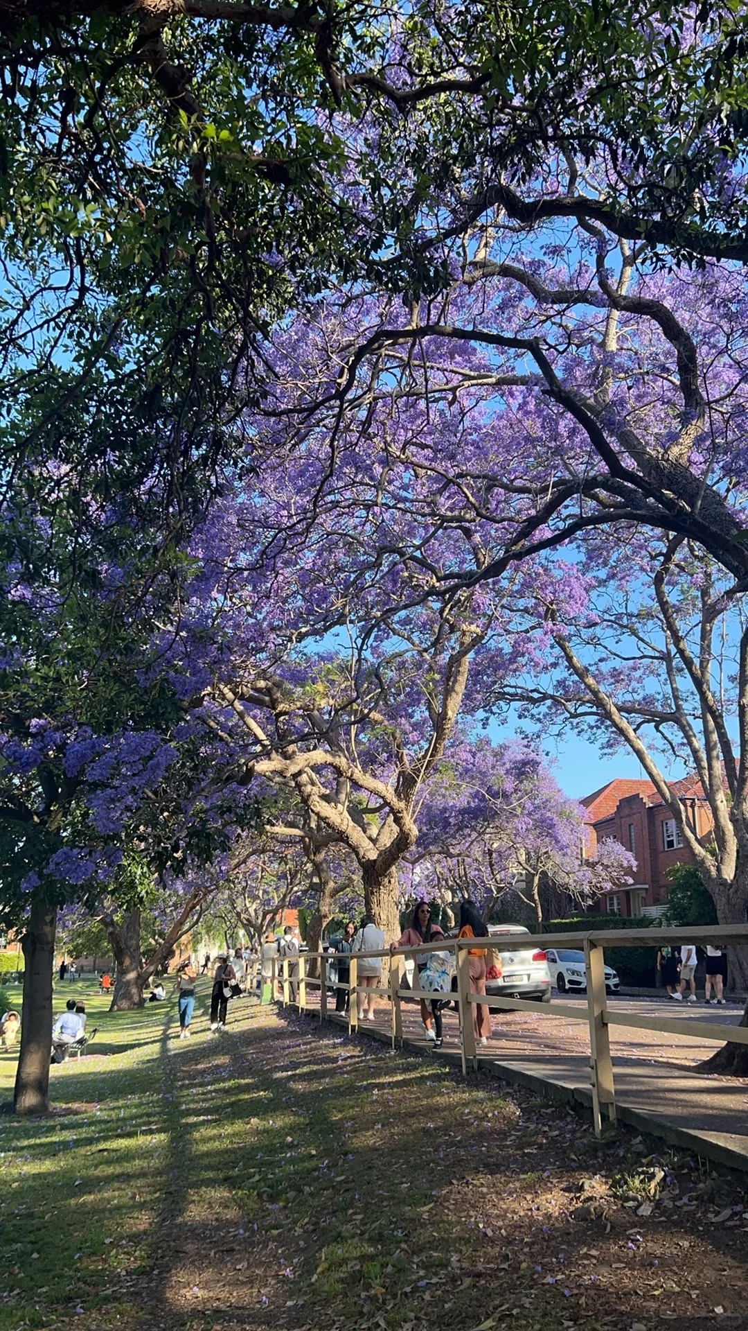 悉尼招聘好难啊😭很高工资雇不到人