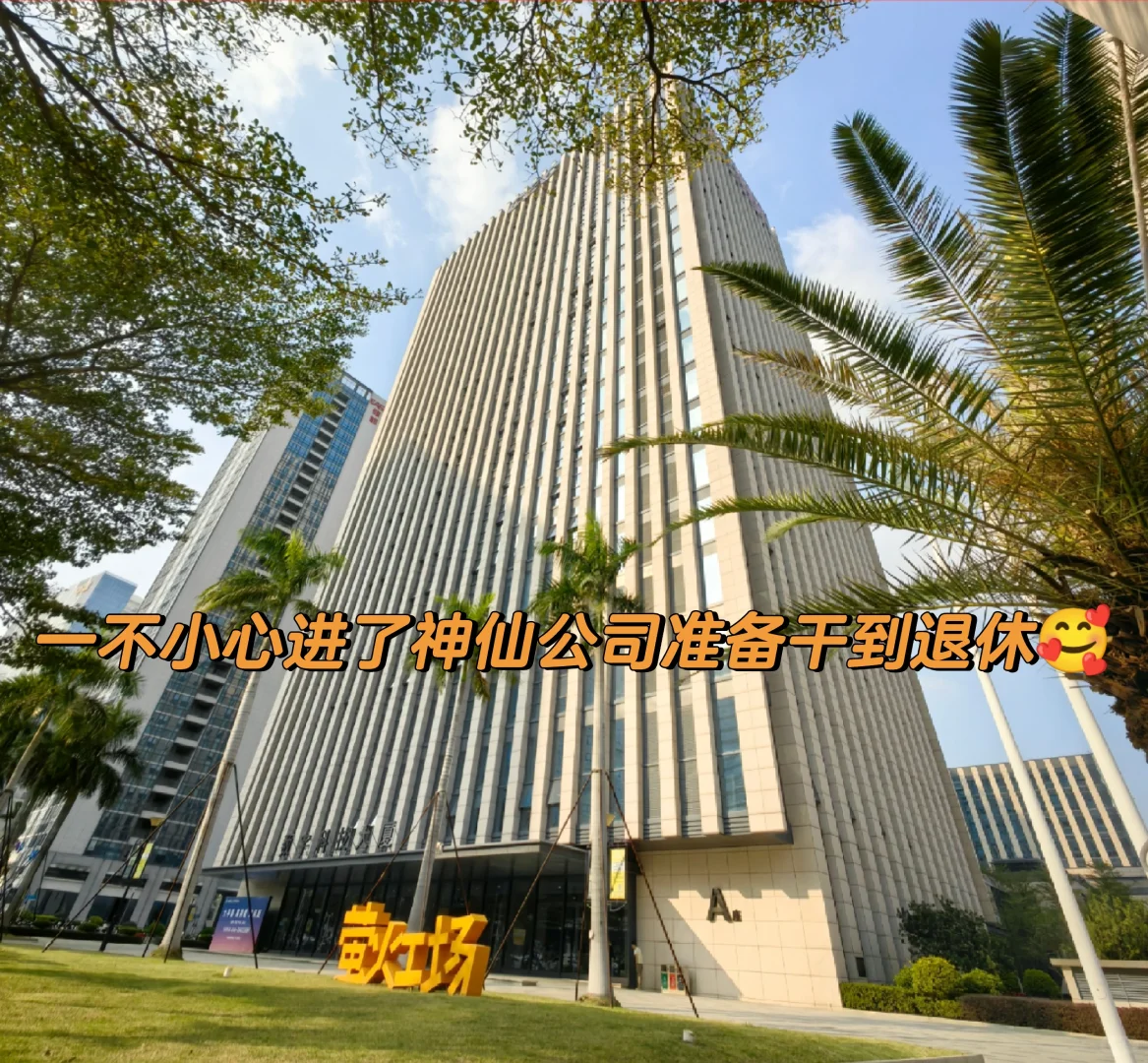 不小心进了家神仙公司准备干到退休