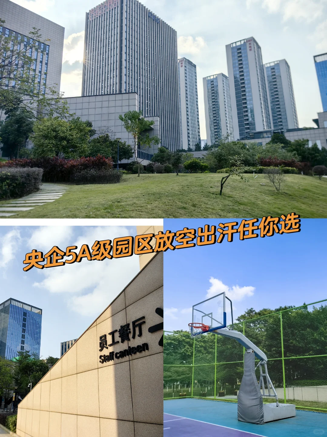 不小心进了家神仙公司准备干到退休