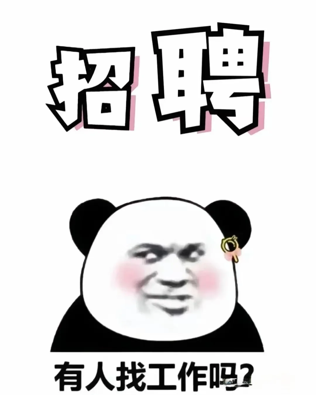到底有没有人找工作呀😭boss都快被刷烂了