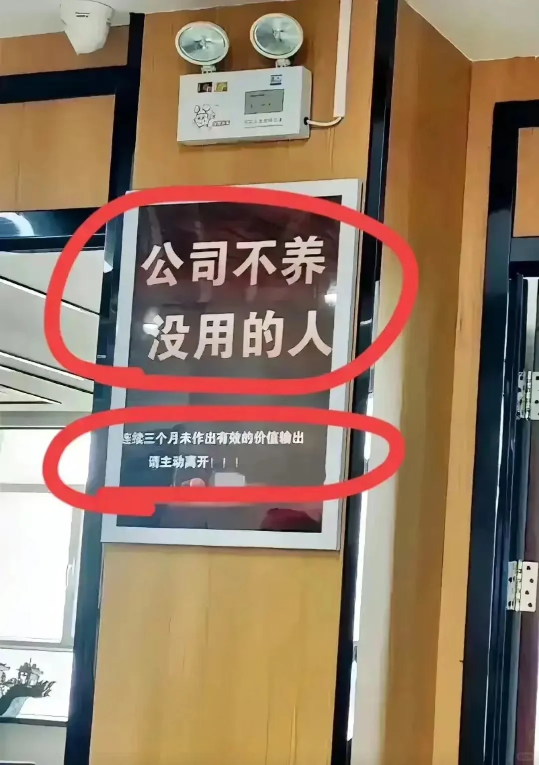 这样的公司你们会选择吗