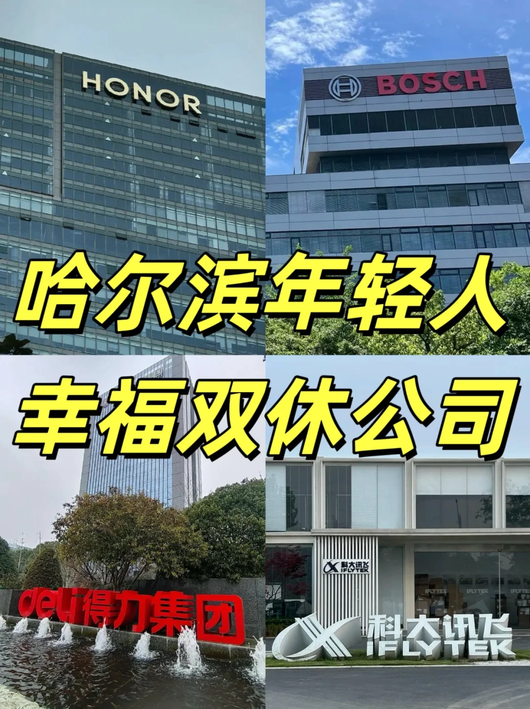 哈尔滨年轻人幸福双休公司