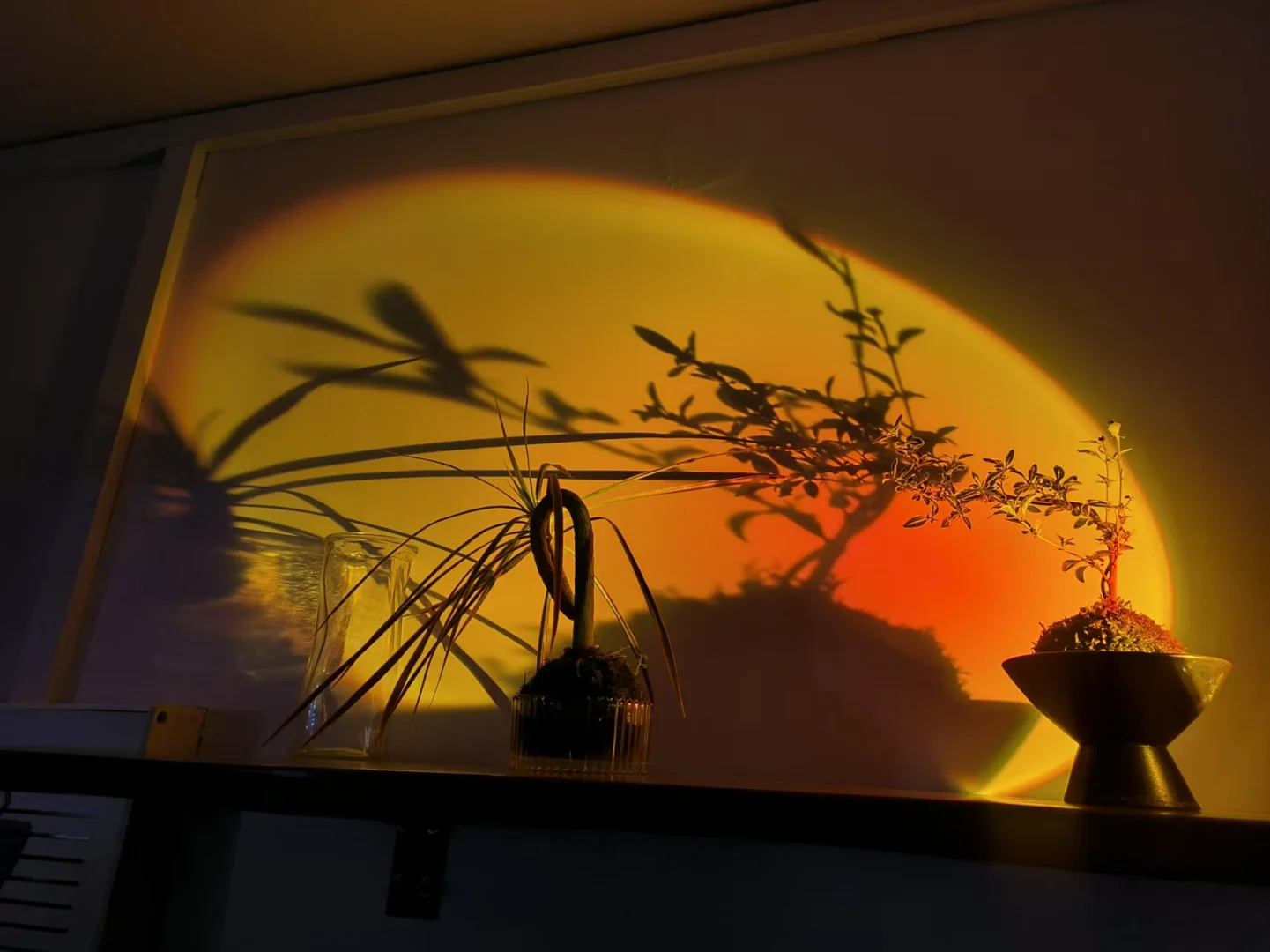 威海咖啡店招聘