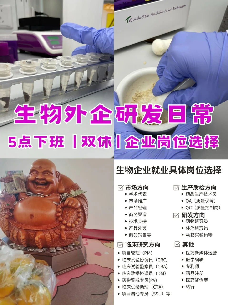 生物专业只能做研发吗？附岗位选择