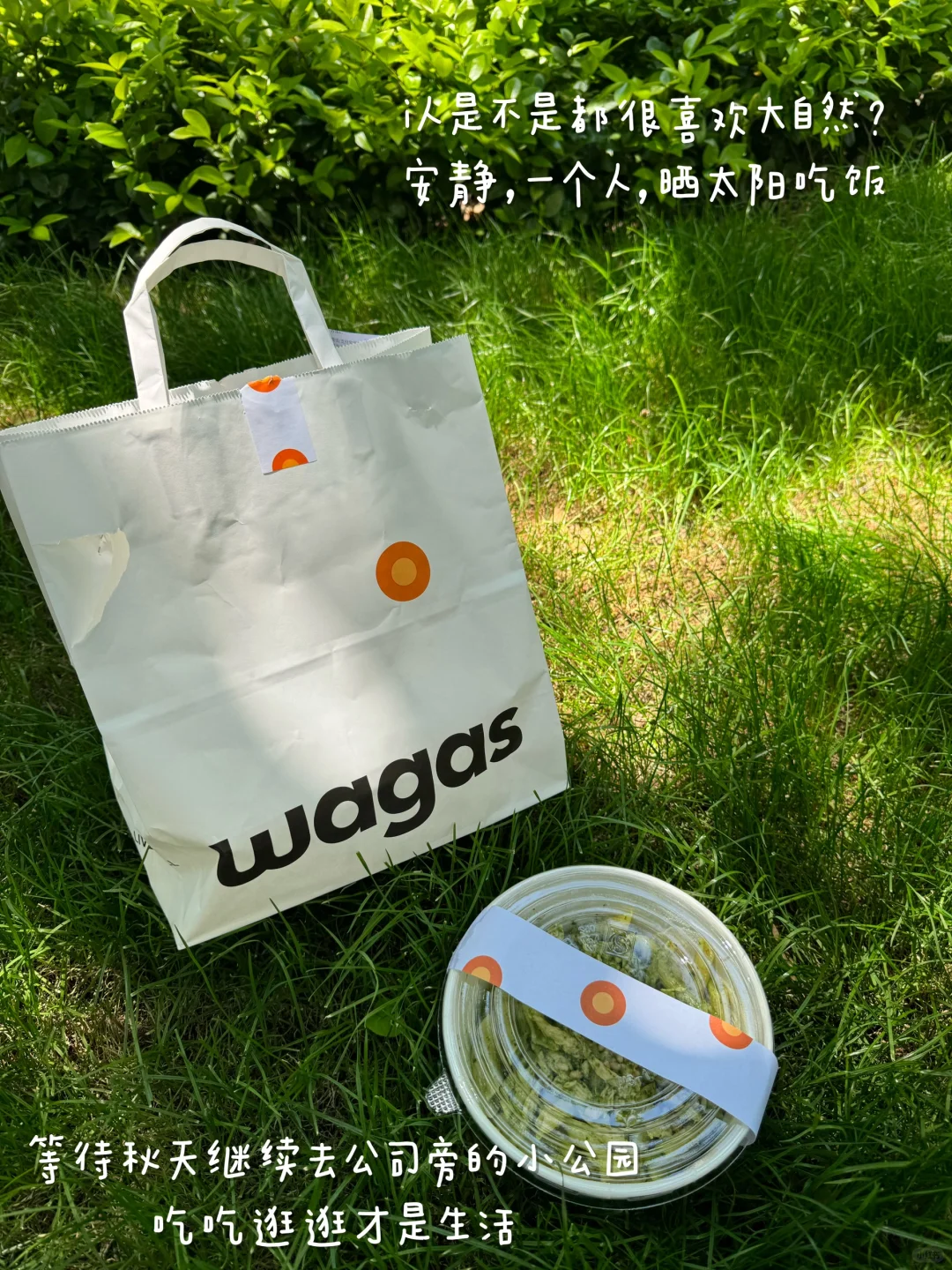 经验分享：大龄女生+普通学历怎么进国企？