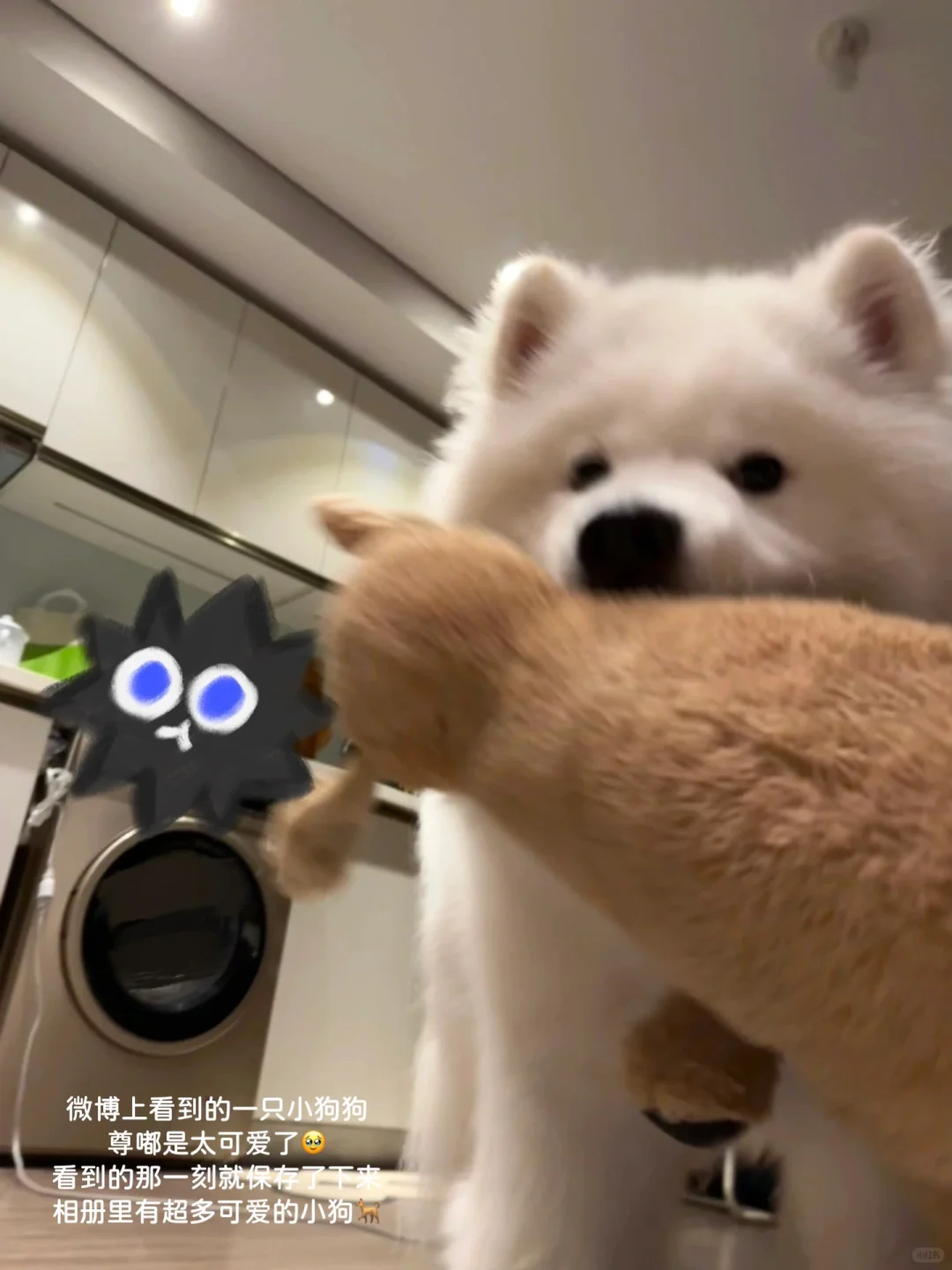 五分钟‼️告诉你美妆公司有哪些岗位可选择🫨