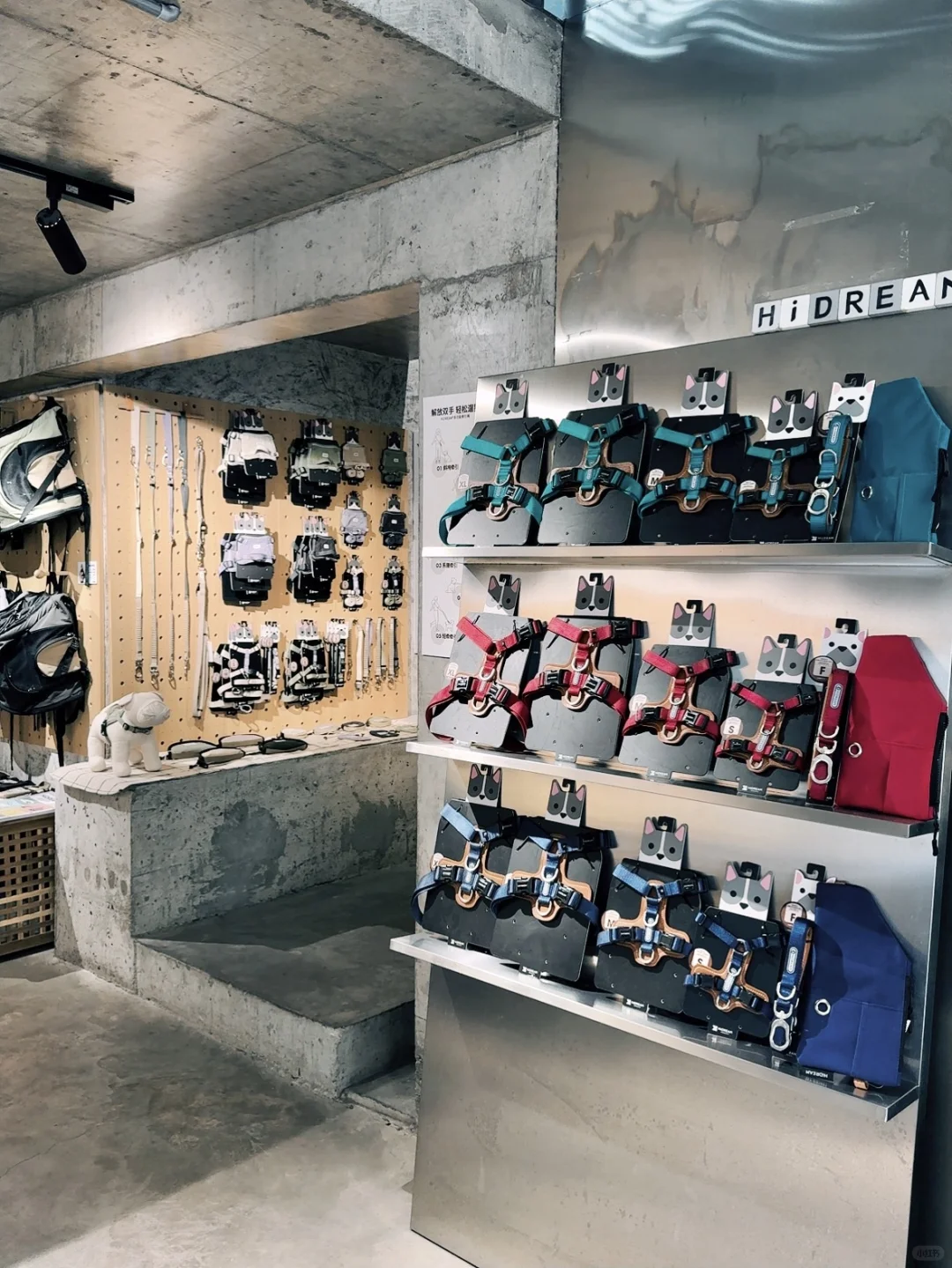 2025年的招聘公告来啦📮一家双休的宠物公司