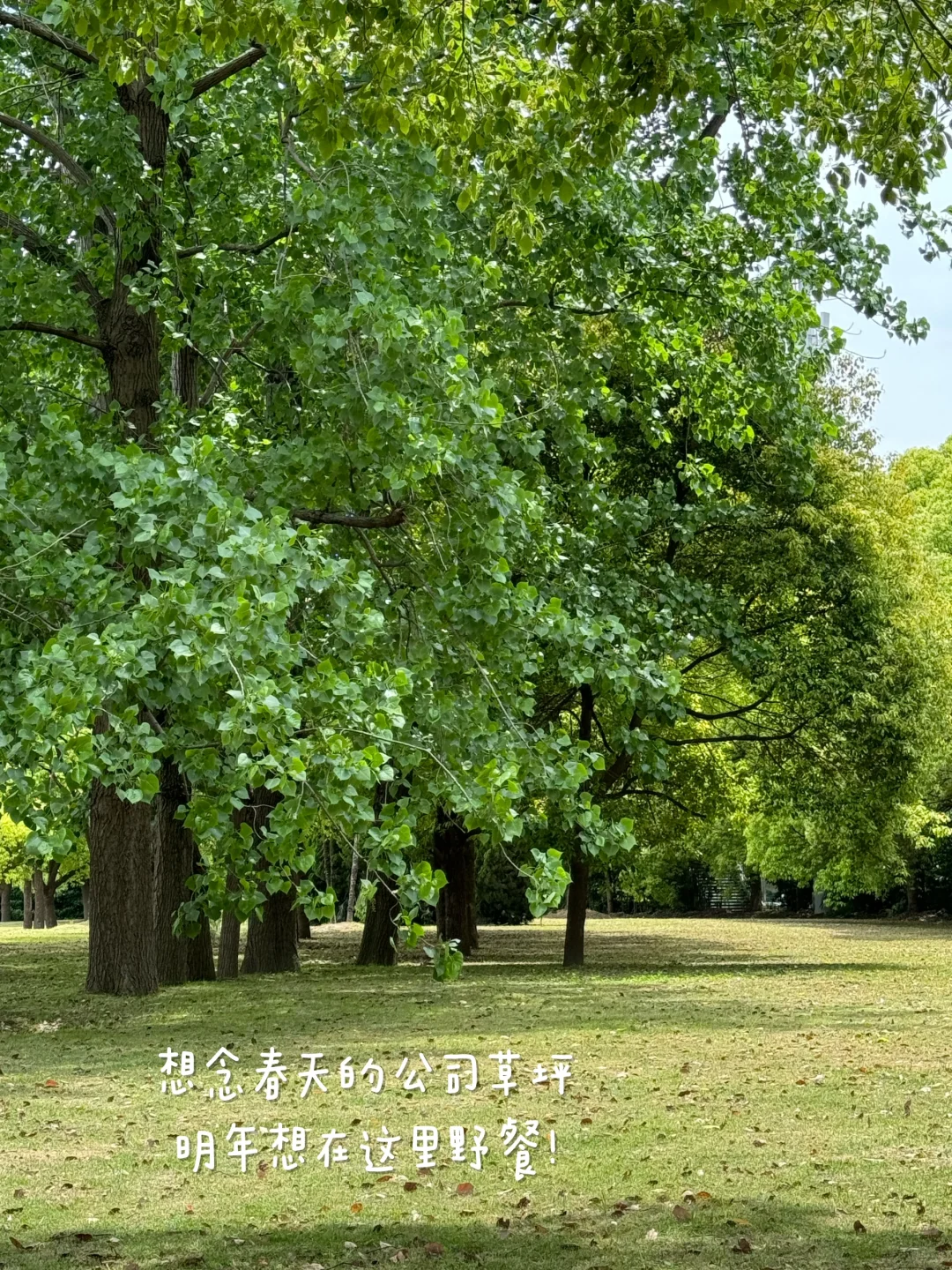 经验分享：大龄女生+普通学历怎么进国企？
