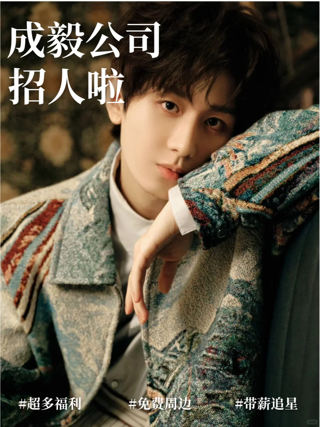 成毅公司招人❗月薪35K周末双休 base北京