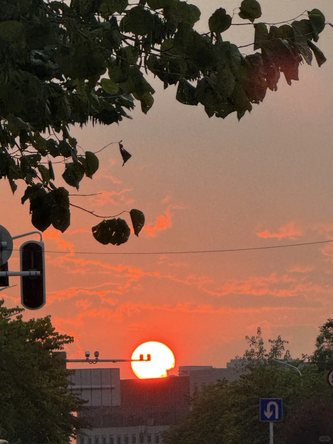 武汉初创传媒公司大量摇人啦