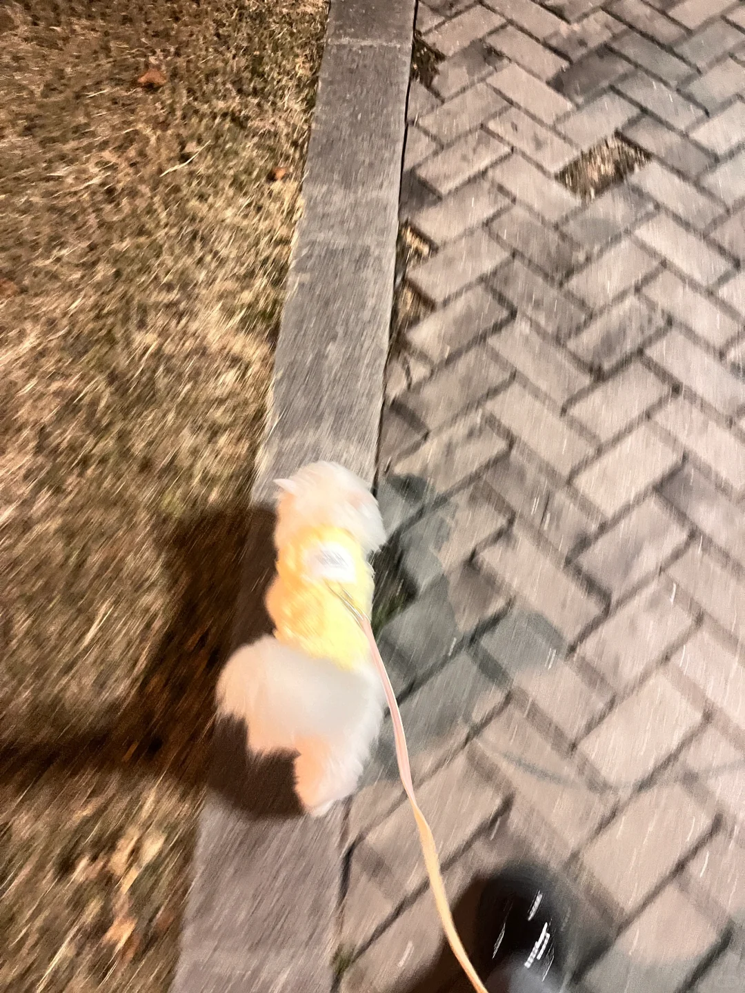 常州初创企业扩招ing！！！