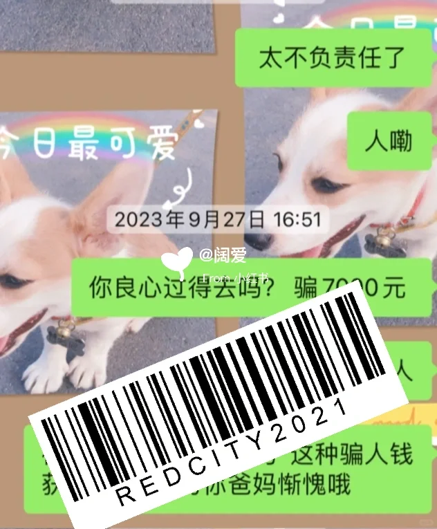 避雷公司:“蚂蚁快招”又称“云聘信息”