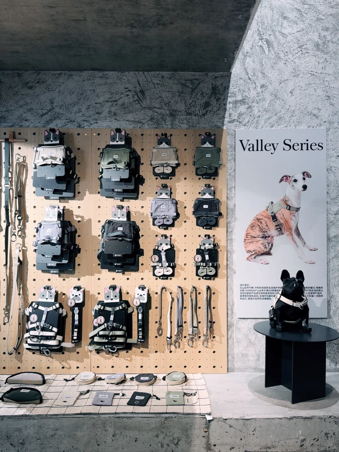 2025年的招聘公告来啦📮一家双休的宠物公司