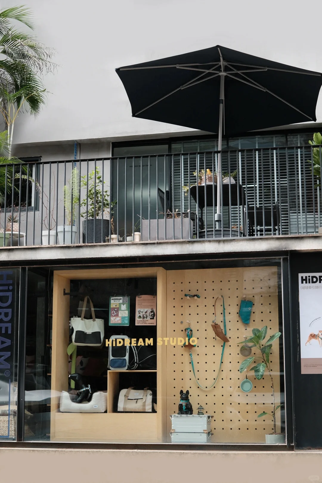 2025年的招聘公告来啦📮一家双休的宠物公司