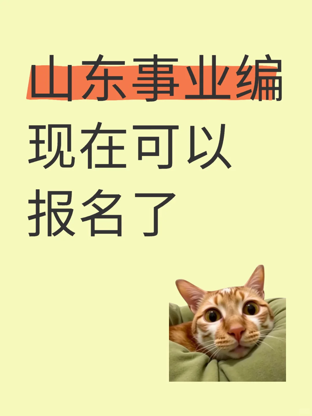 山东事业编现在可以报名了