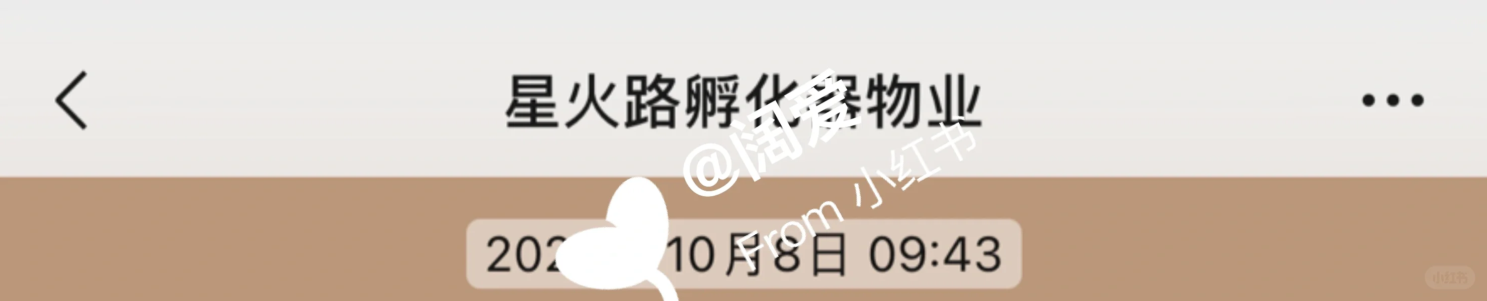 避雷公司:“蚂蚁快招”又称“云聘信息”