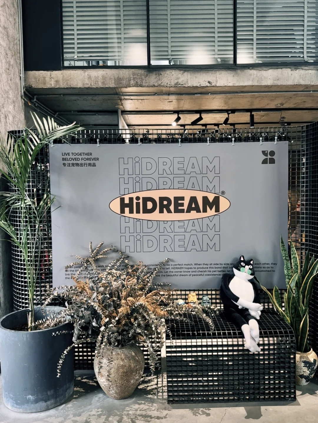 2025年的招聘公告来啦📮一家双休的宠物公司