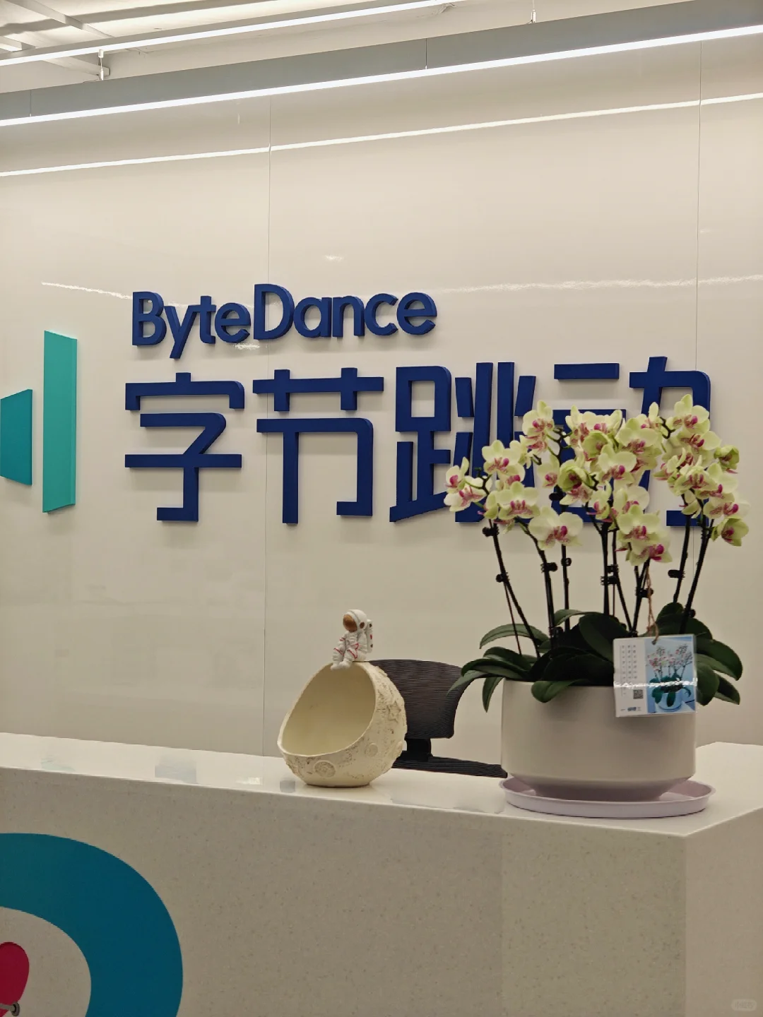 郑州字节跳动审核岗位又开始内推啦!