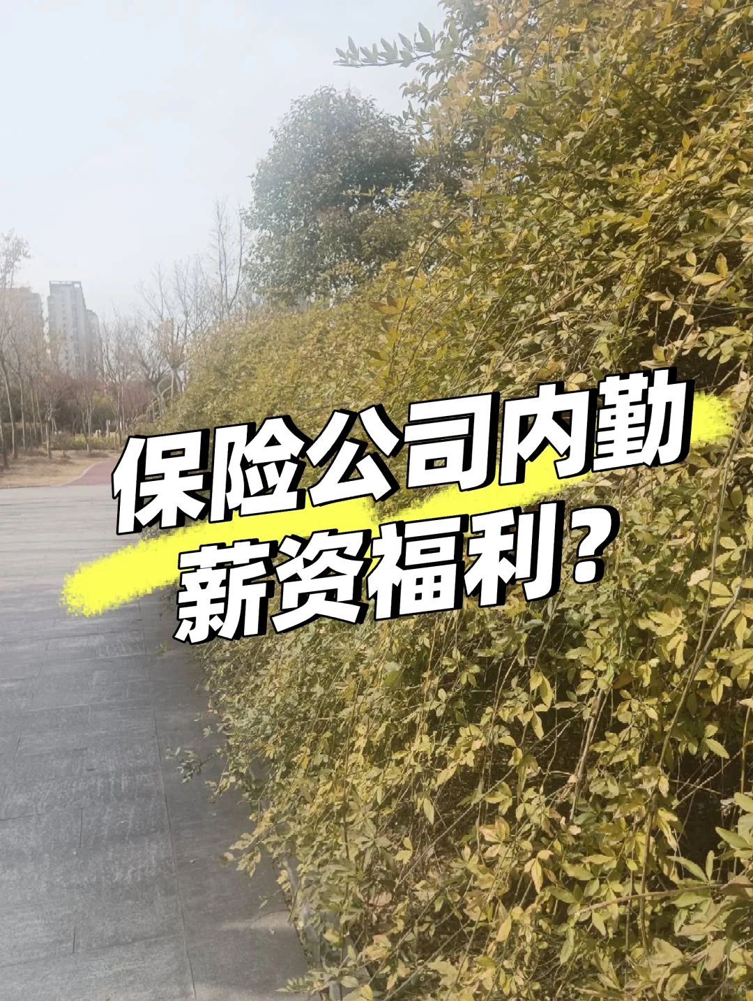 保险公司内勤岗位薪资待遇和福利？