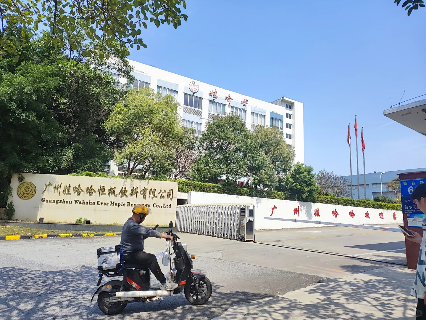 🤔娃哈哈一天 300?真有这么好吗?🤔