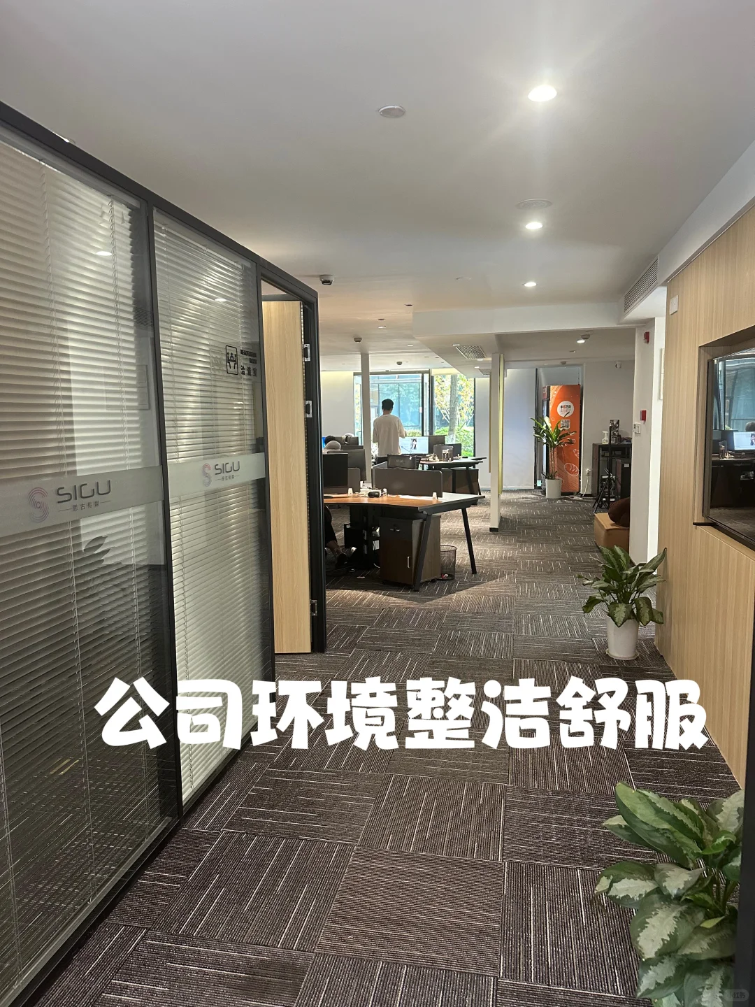 宁波传媒公司招主播啦！