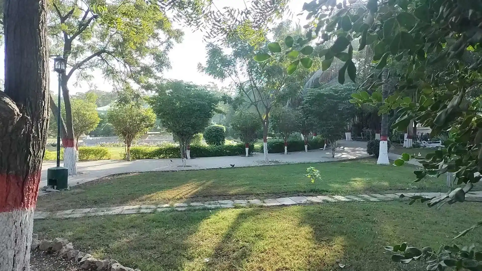 民宿管家招聘 待遇优厚