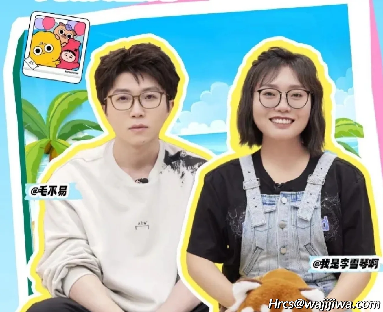 《毛雪汪》招导演/编剧啦