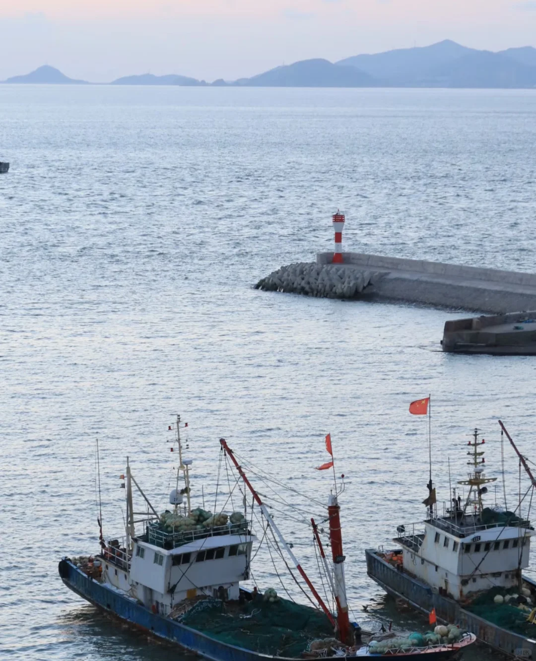 2025|大乐年初招聘，让工作像旅行一样快乐。