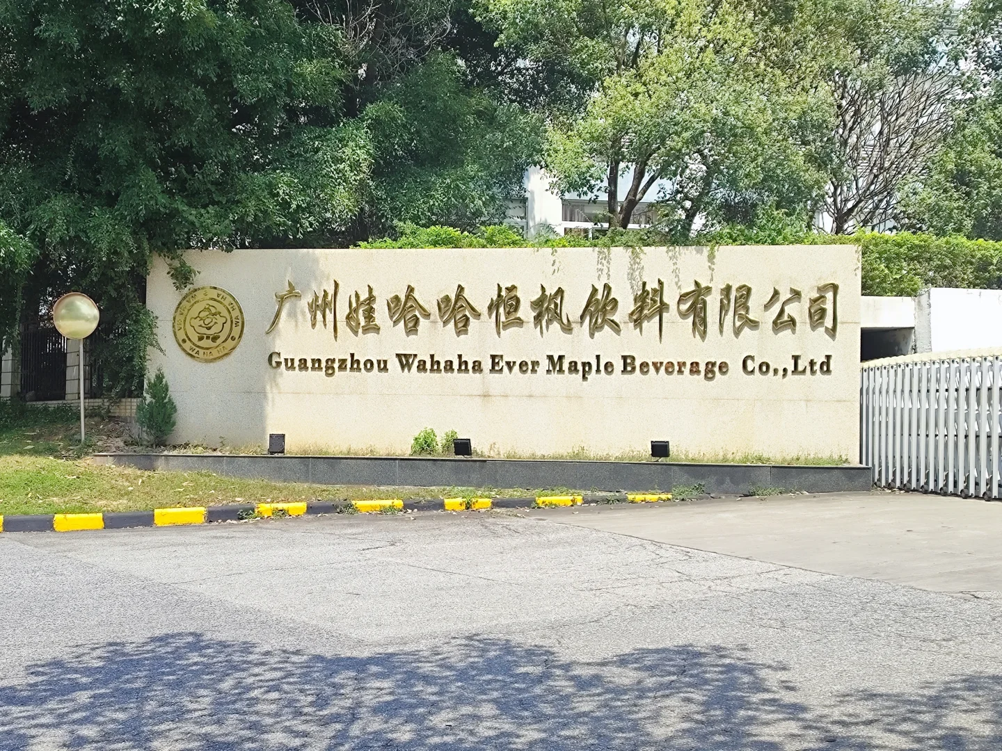 🤔娃哈哈一天 300?真有这么好吗?🤔