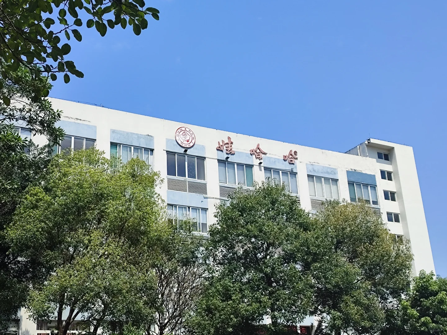 🤔娃哈哈一天 300?真有这么好吗?🤔