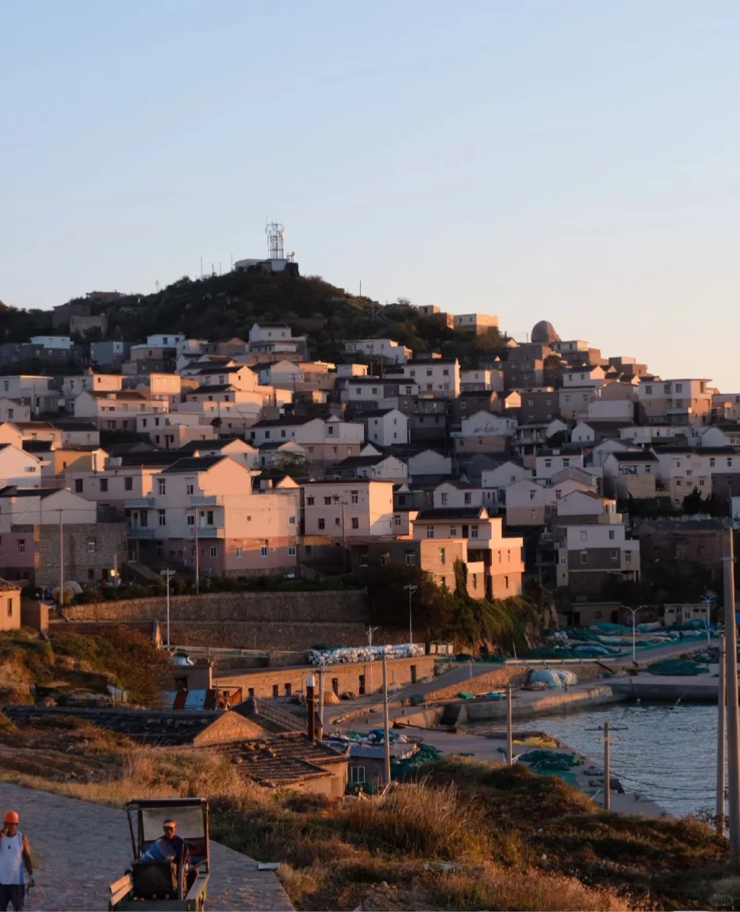 2025|大乐年初招聘，让工作像旅行一样快乐。