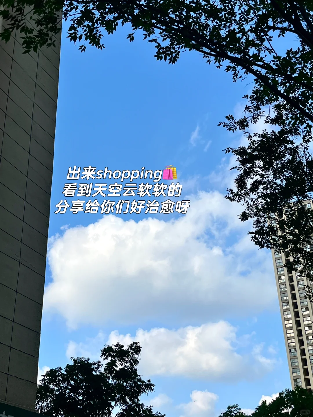 南京传媒公司🎀 打工人实习一天vlog