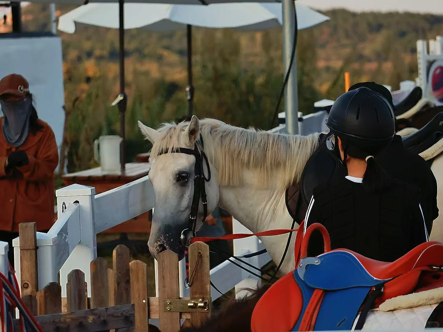 招聘 招聘 招聘 重要的事情说三遍