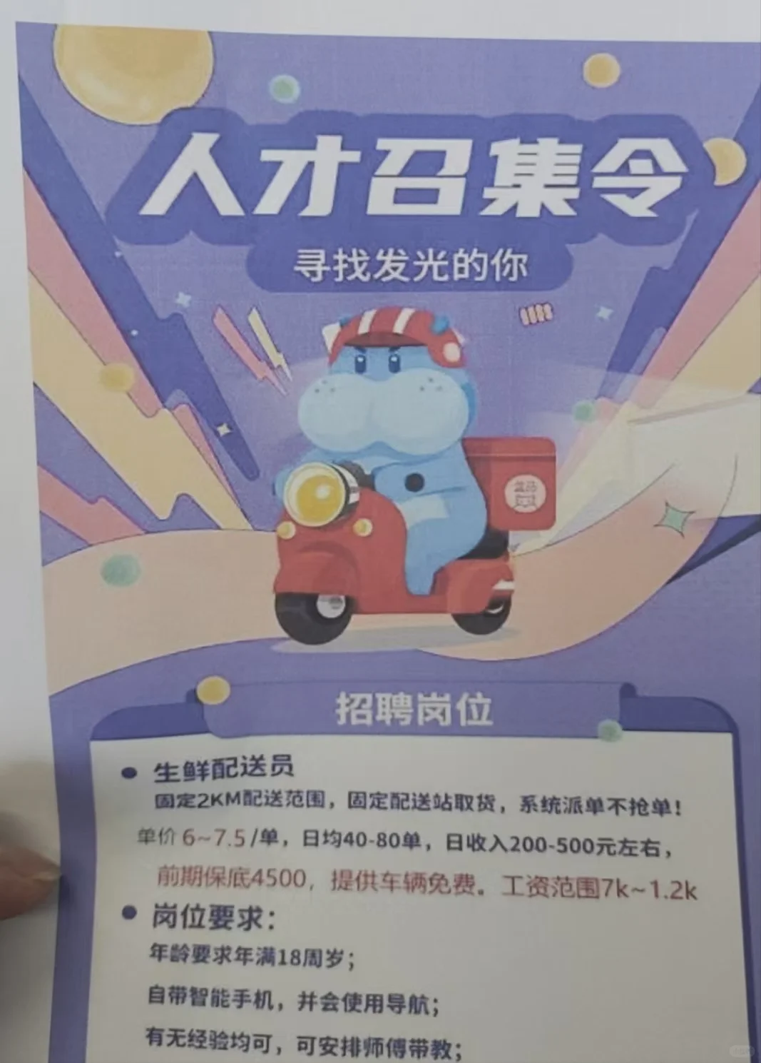 盒马招聘！！！